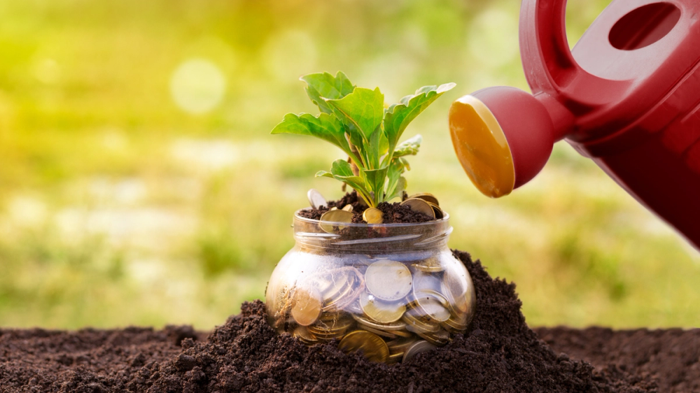 8 no-cost, low-effort ways to earn extra cash