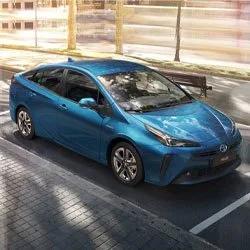 Picture not described