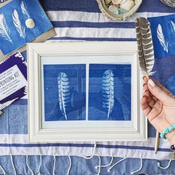 Sunprintingkit2 Supplied x