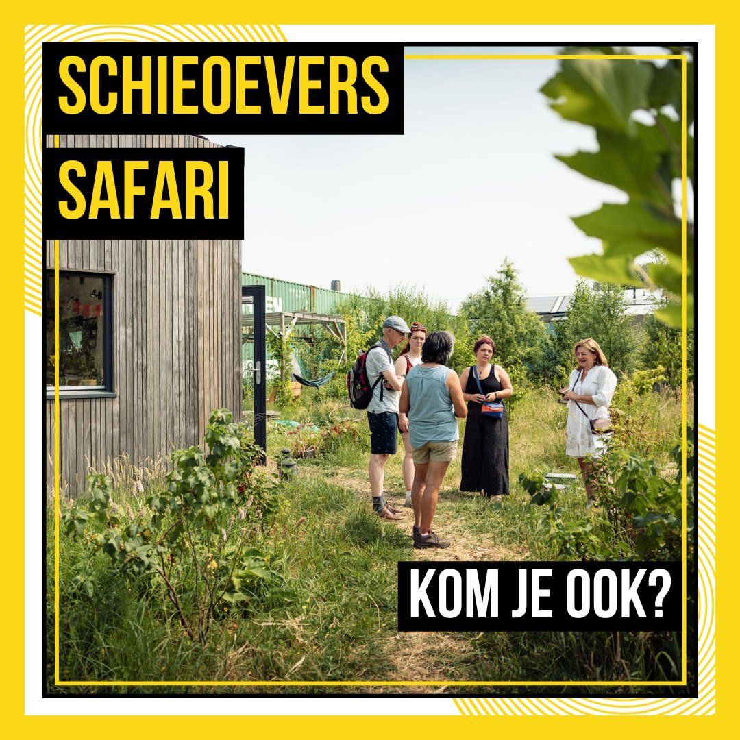 Open dag Schieoevers Safari 2024