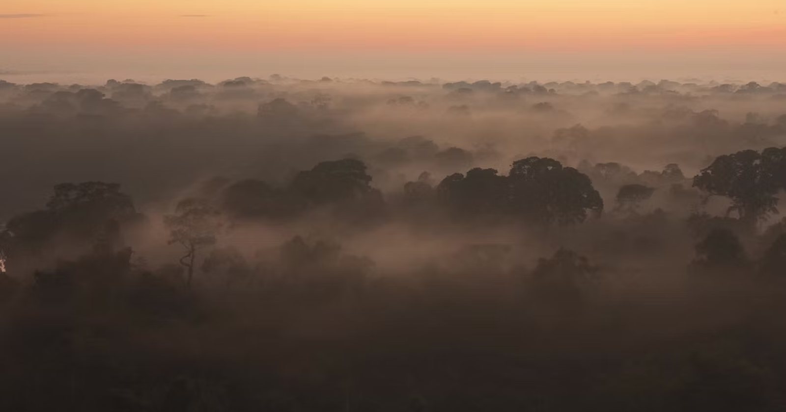 African landscape in morning light