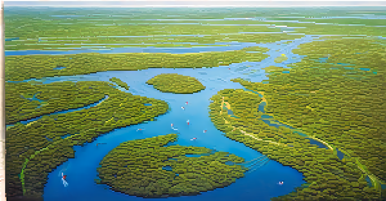 Aerial view of Pantanal wetlands with kayakers and wildlife along the waterways.
