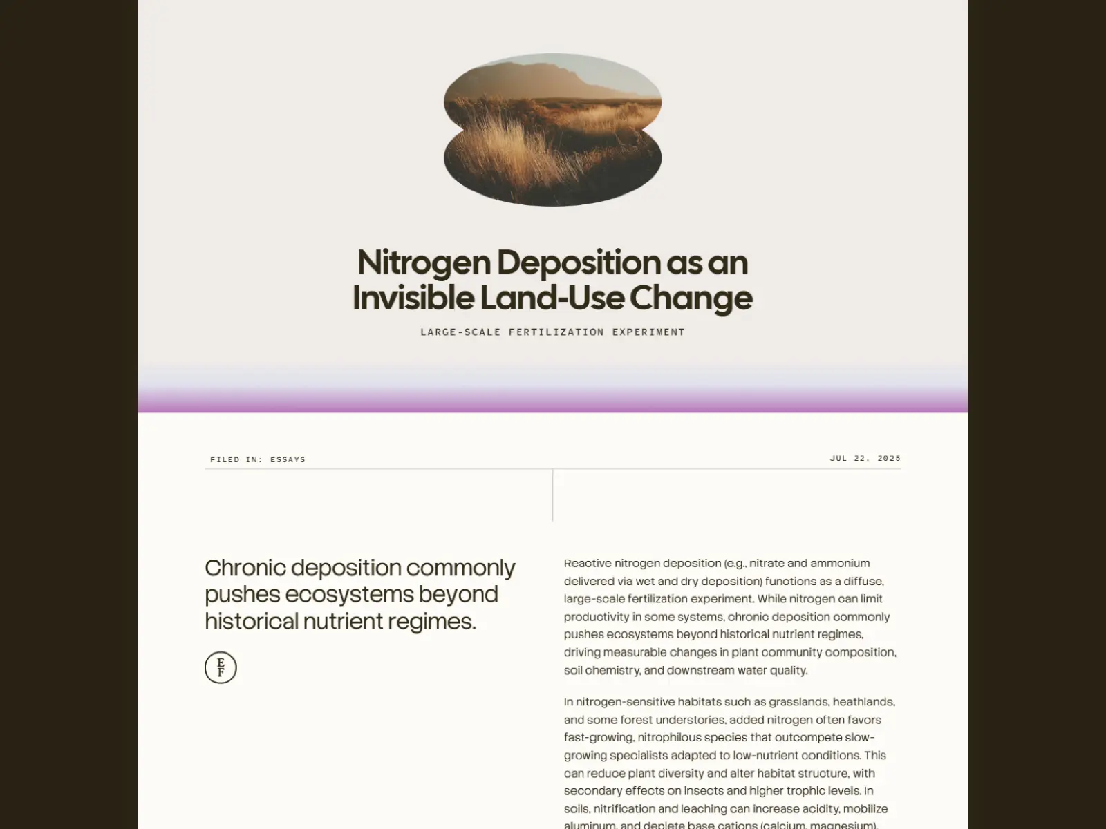 Essayist Framer template screenshot 3