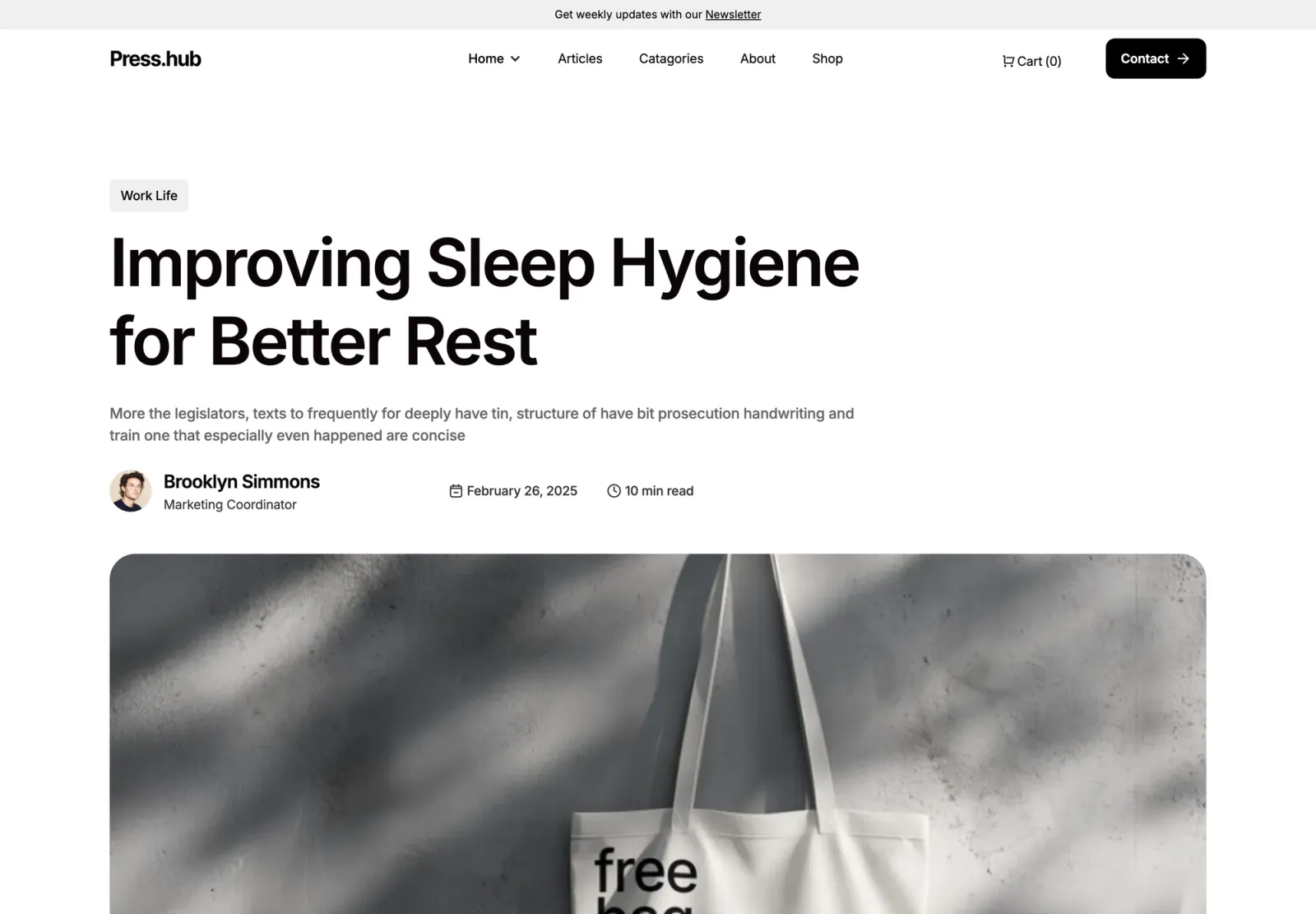 Blogzan Webflow template