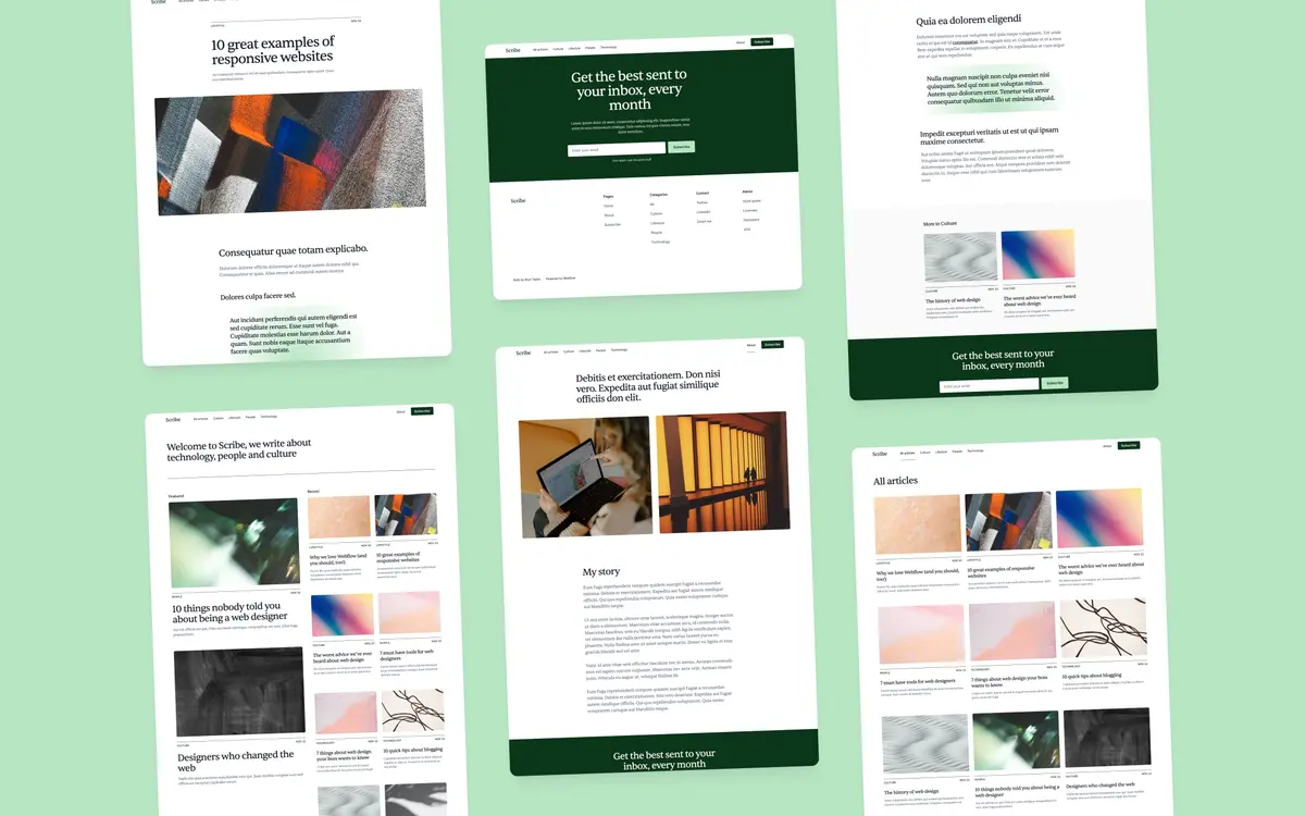 Scribe Webflow template screenshot 5