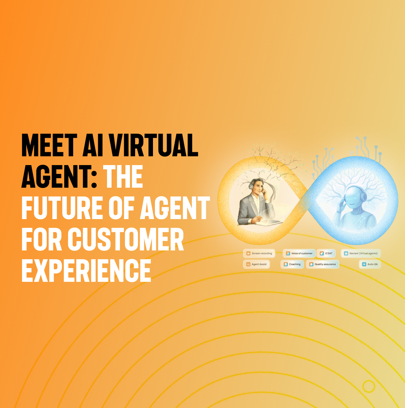 Introducing Naviant