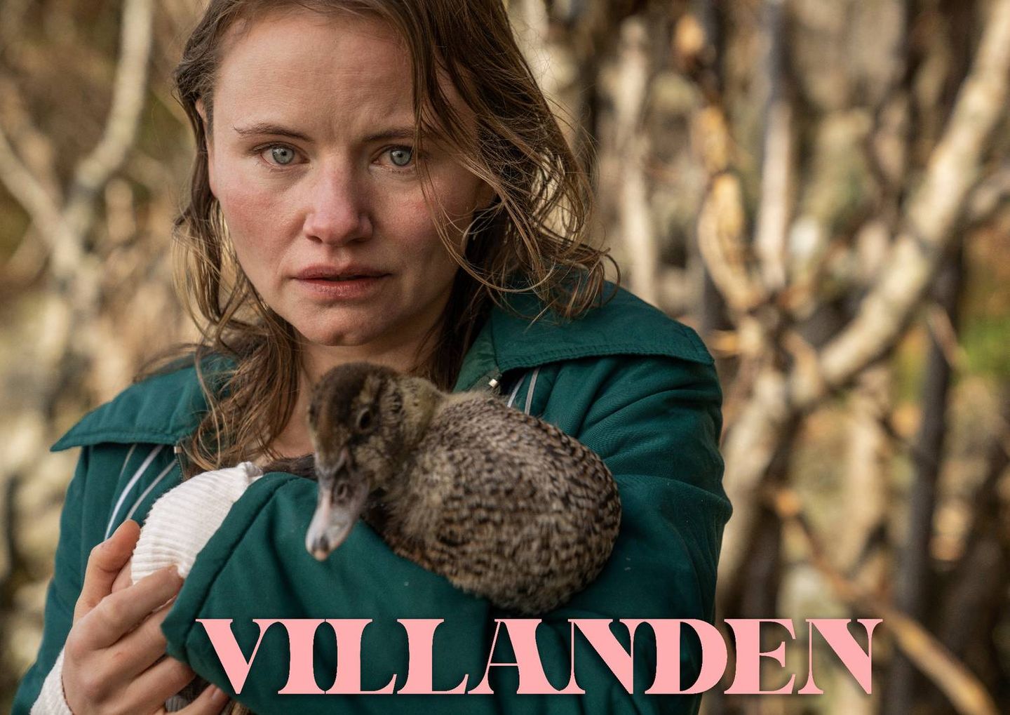 Villanden