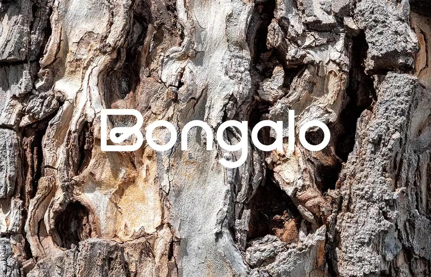 Bongalo animated architectural brand cover