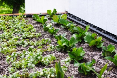 Claywork Design & Construction: double green roof