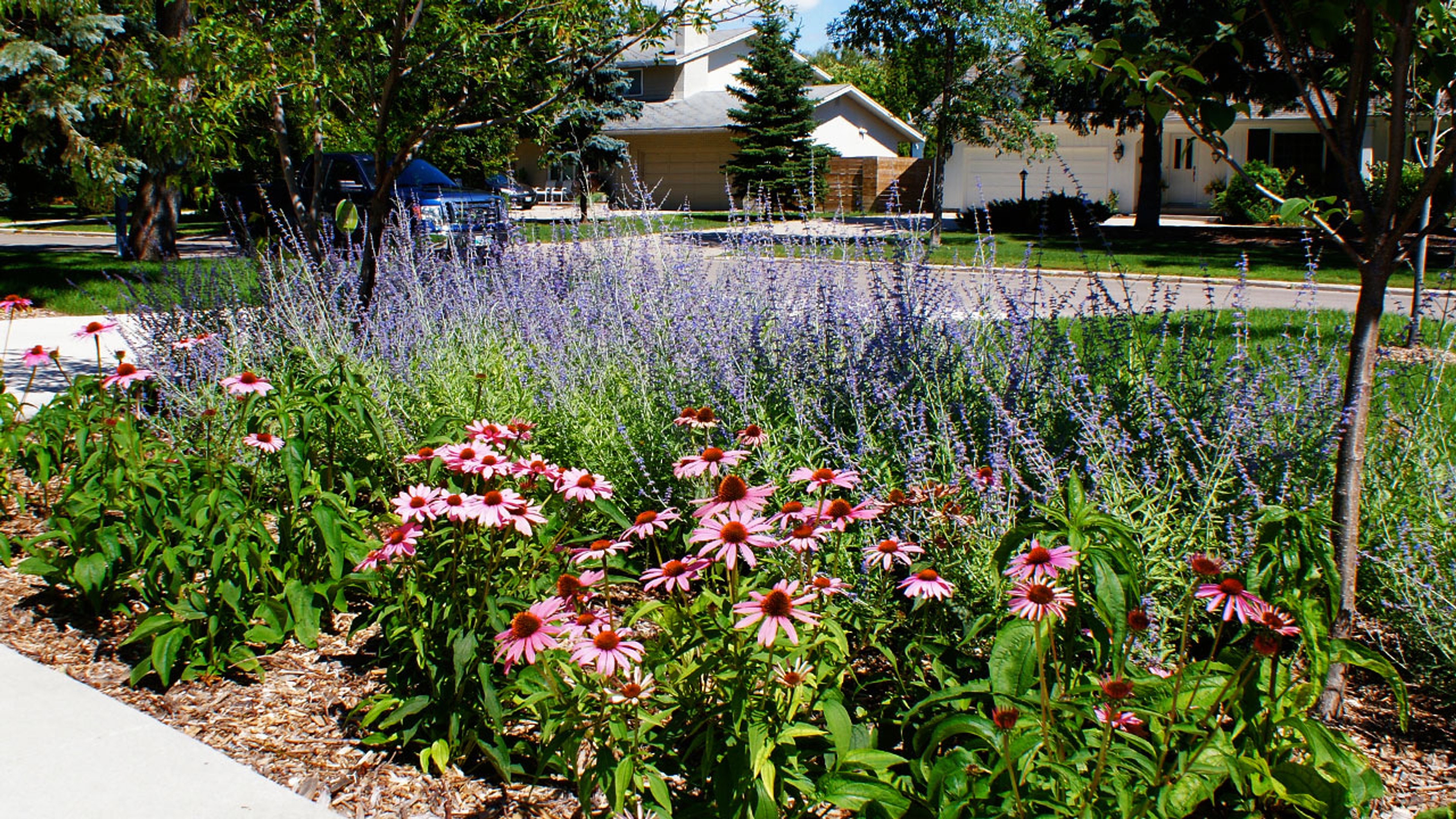 Claywork Design & Construction: Purple Prairie Garden