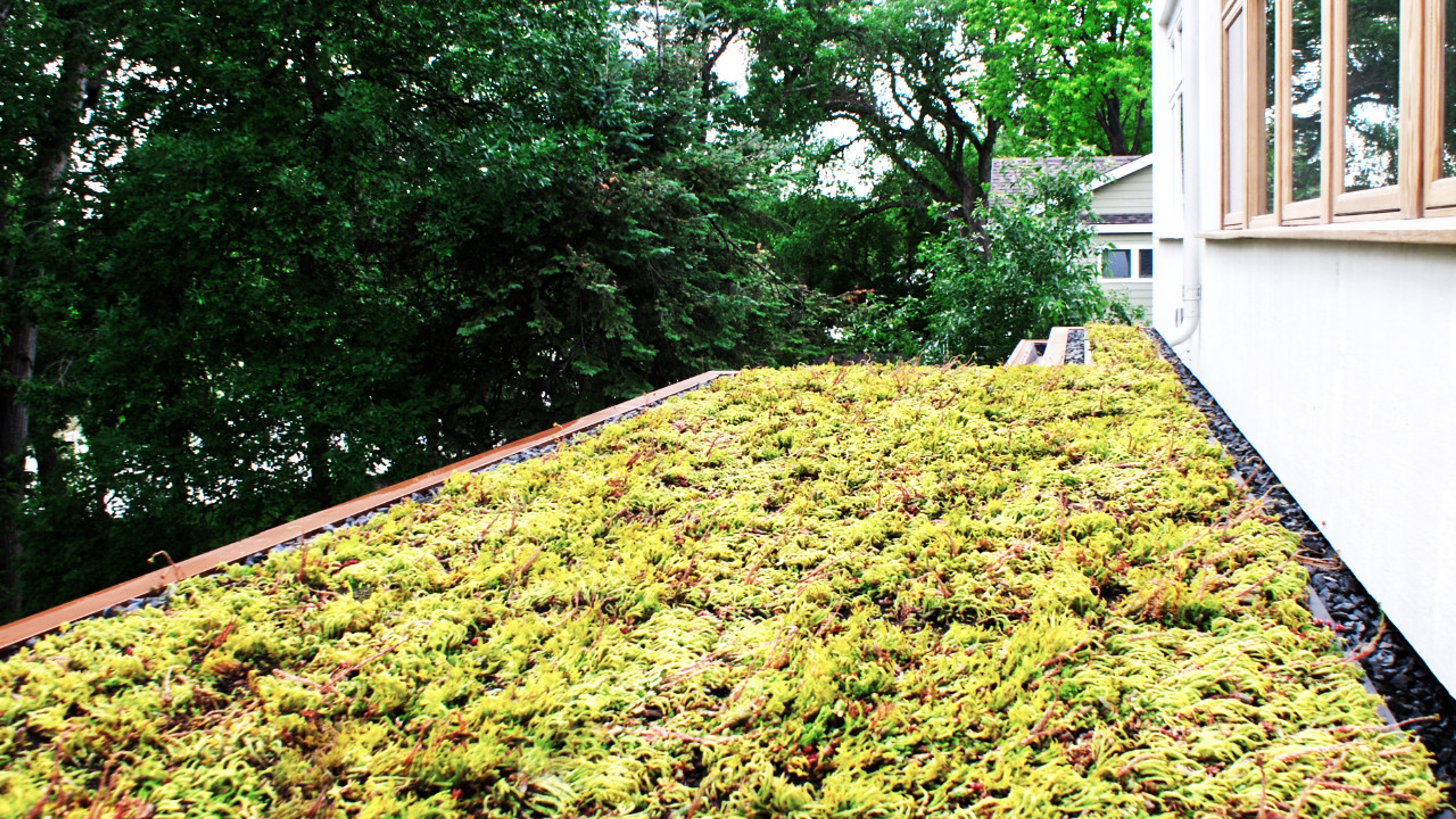 Claywork Design & Construction: double green roof