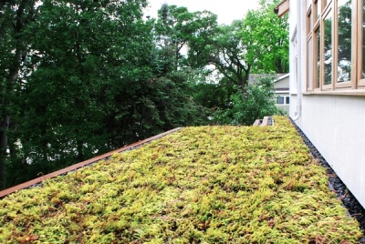 Claywork Design & Construction: double green roof