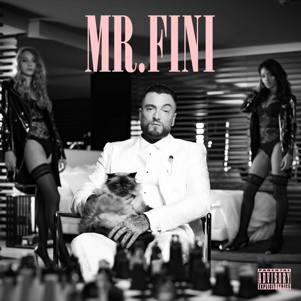 Copertina Mr. Fini