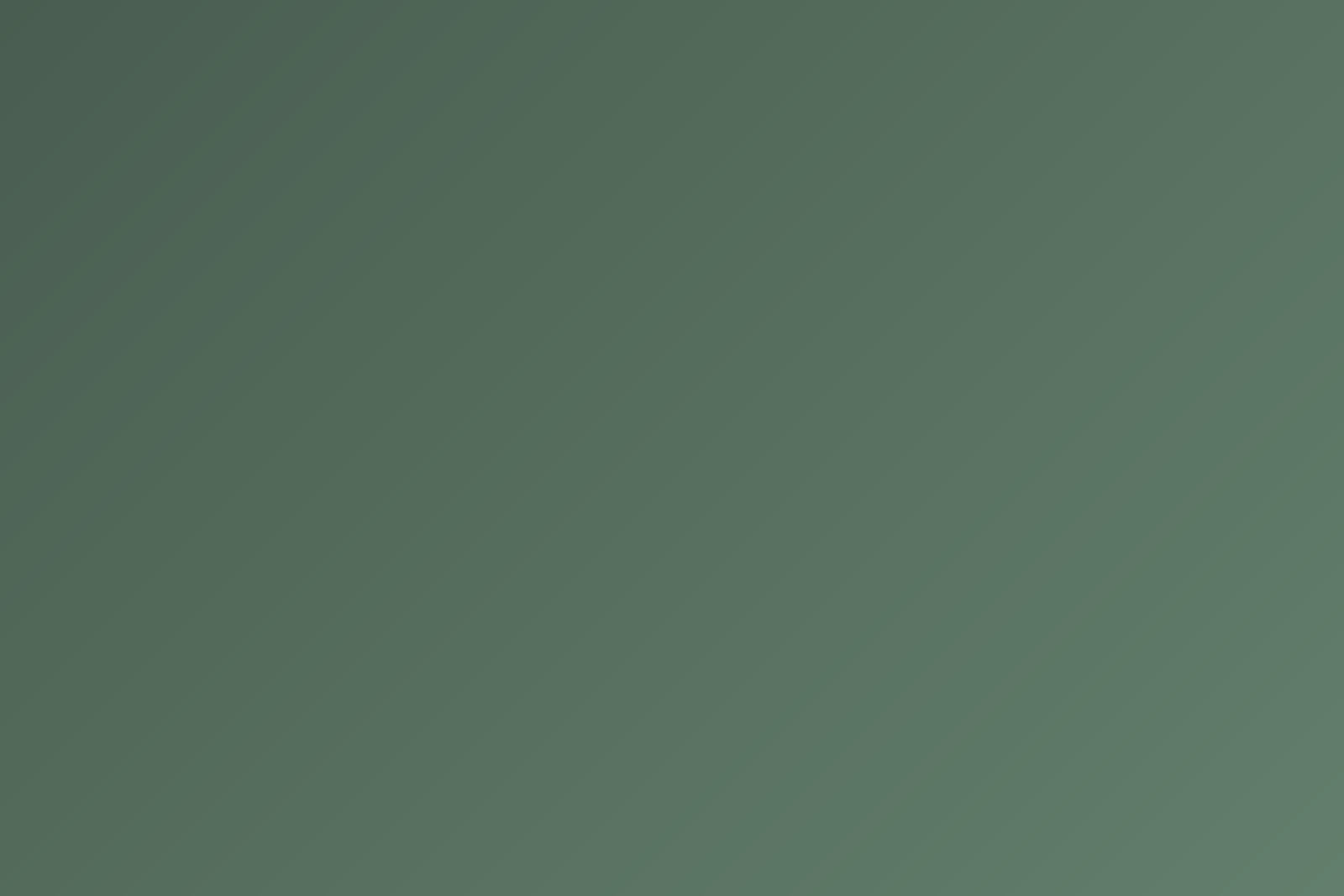 Placeholder landscape photograph number 1