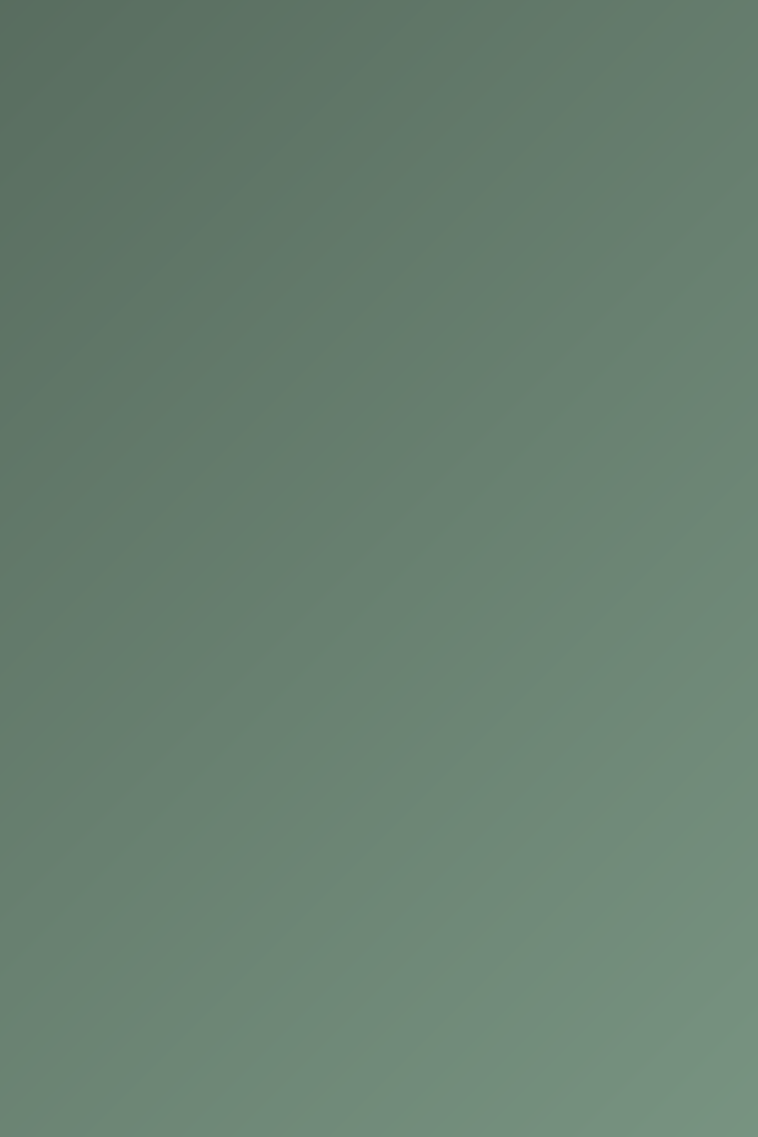 Placeholder landscape photograph number 2