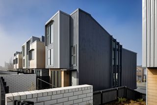 LongBay39.jpg