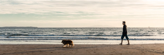 beach_banner.png