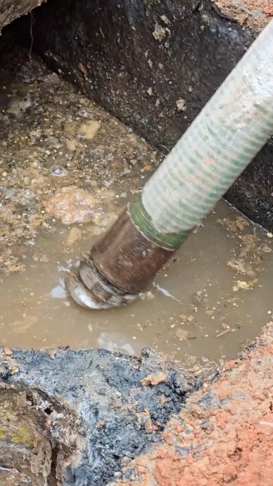 Septic or Plumbing Problem How to Tell the Difference