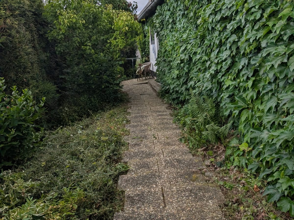 Freigeschnittener Weg an der Hauswand
