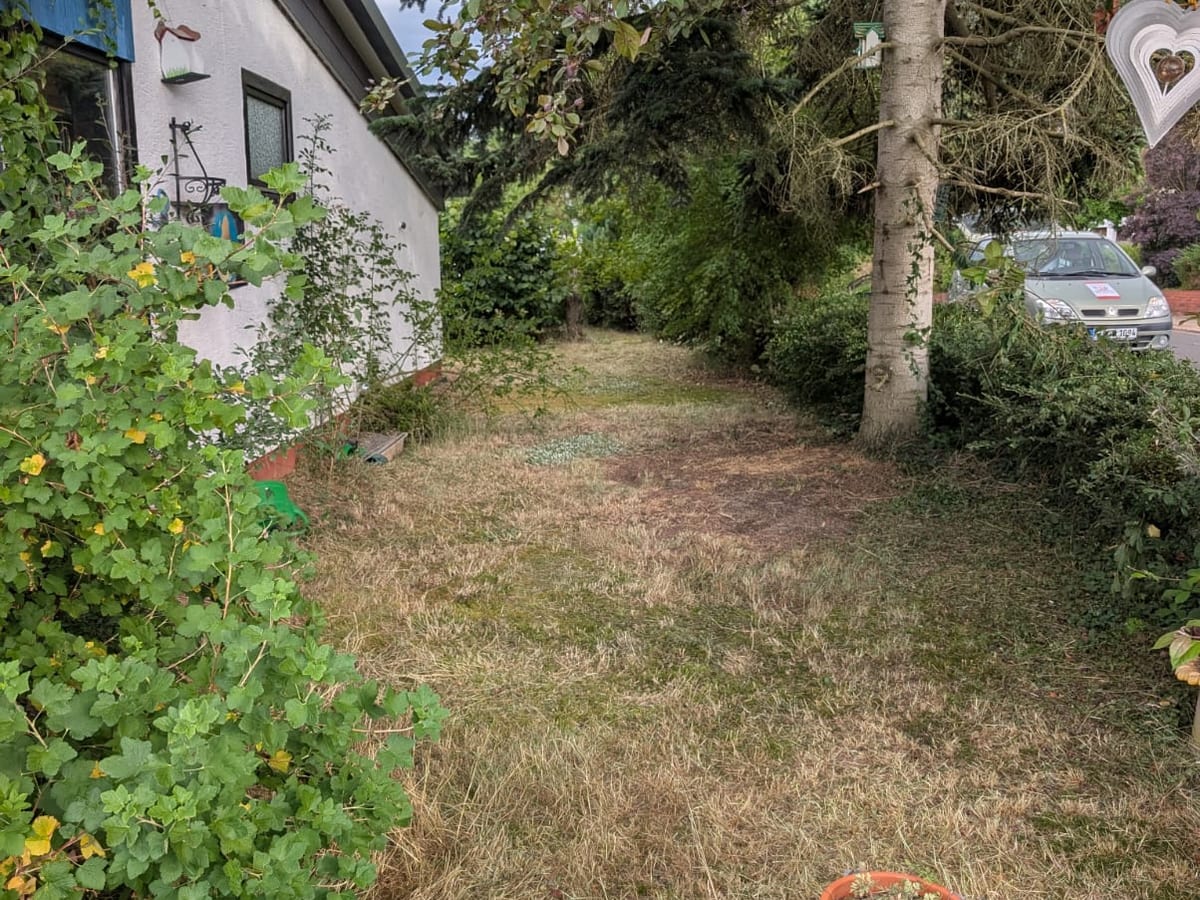 Gemähter Rasen nach der Gartenpflege