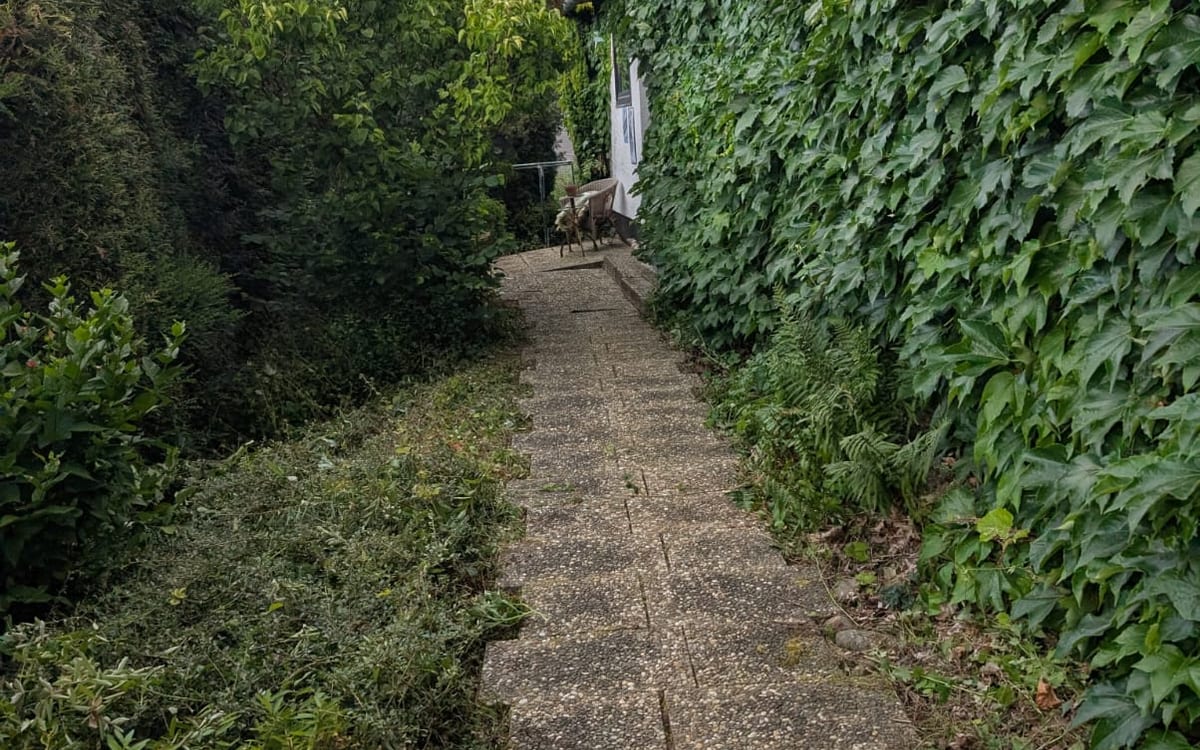 Gartenpflege