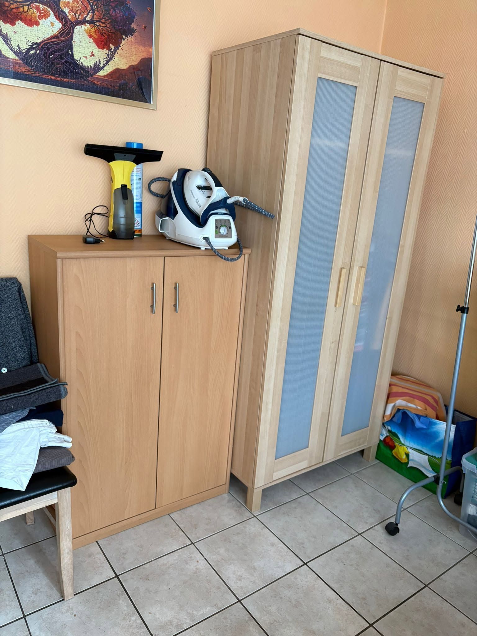 Reinigung mit Dampfreiniger und Fenstersauger