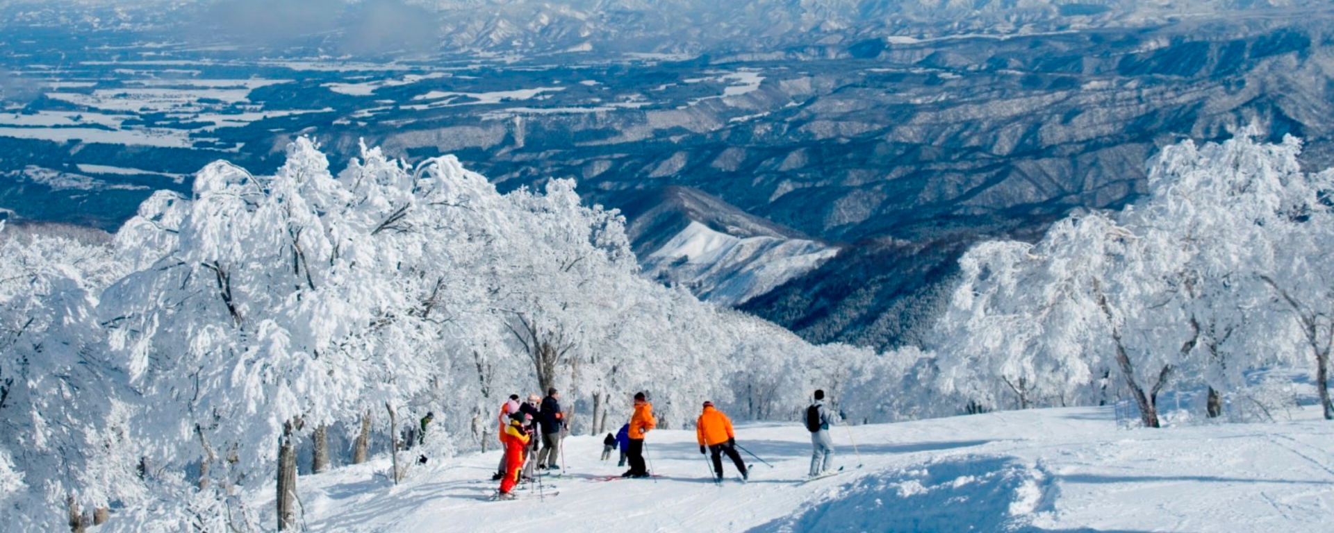 Total Cost of Ownership: What ¥15M Actually Buys in Nagano