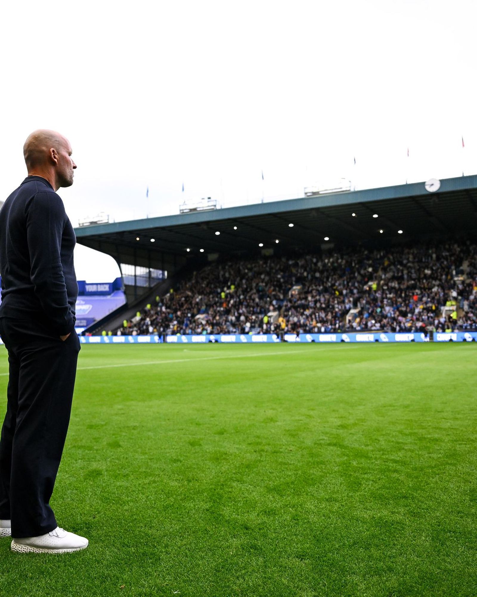 Owls Roundup: Pedersen's new deal, Wilson on transfer strategy, Lowe's award and more