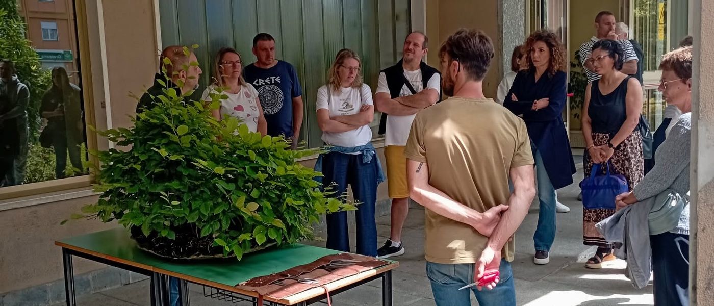 Scienza, natura e inclusione all'agraria. Kuma No En protagonista dell'incontro tra bonsai e terrarium