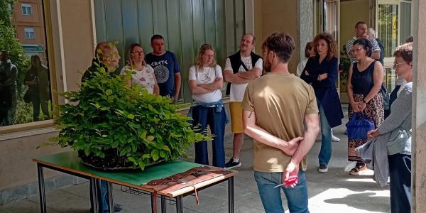 Scienza, natura e inclusione all'agraria. Kuma No En protagonista dell'incontro tra bonsai e terrarium