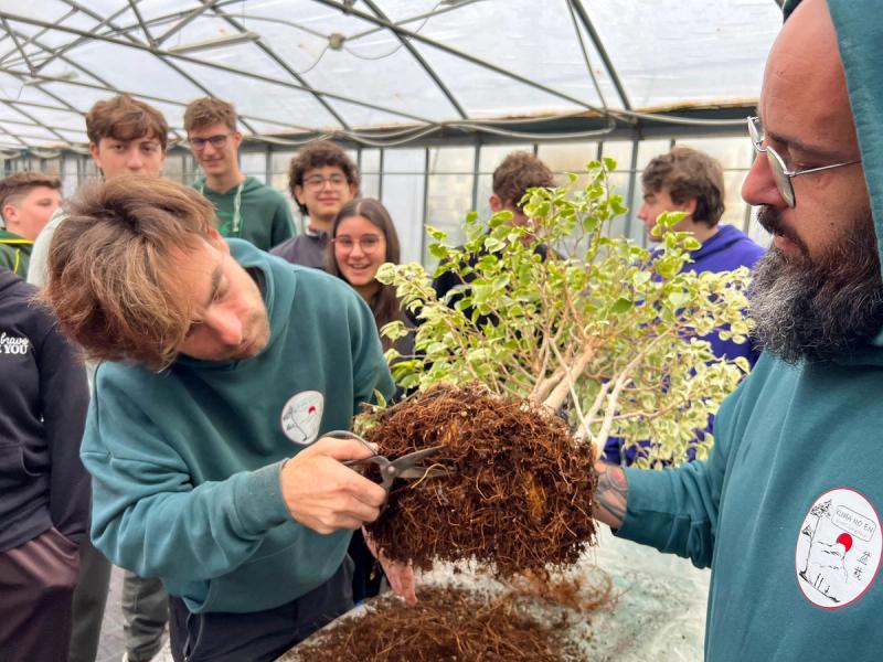 Il bonsai entra all’Agrario di Biella