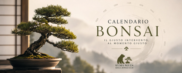 Calendario Bonsai - Cosa fare ai tuoi bonsai mese dopo mese