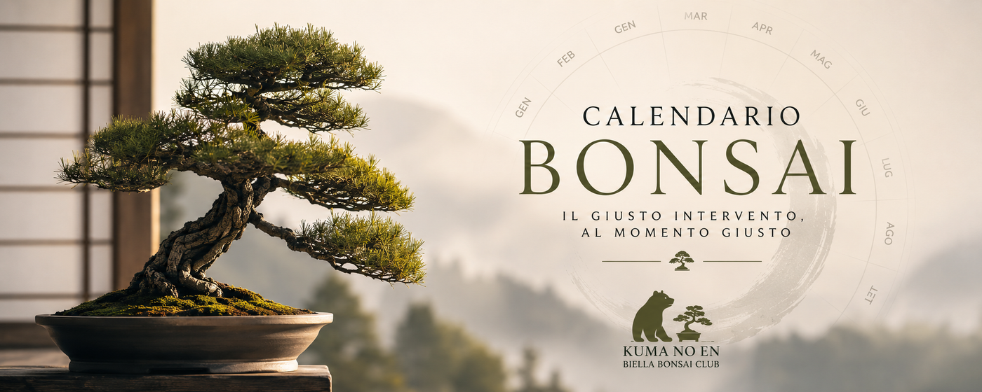 Calendario Bonsai - Cosa fare ai tuoi bonsai mese dopo mese