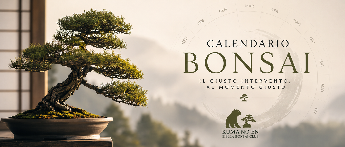Calendario Bonsai - Cosa fare ai tuoi bonsai mese dopo mese