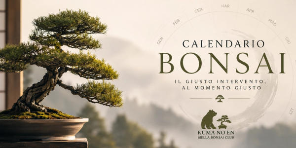 Calendario Bonsai - Cosa fare ai tuoi bonsai mese dopo mese