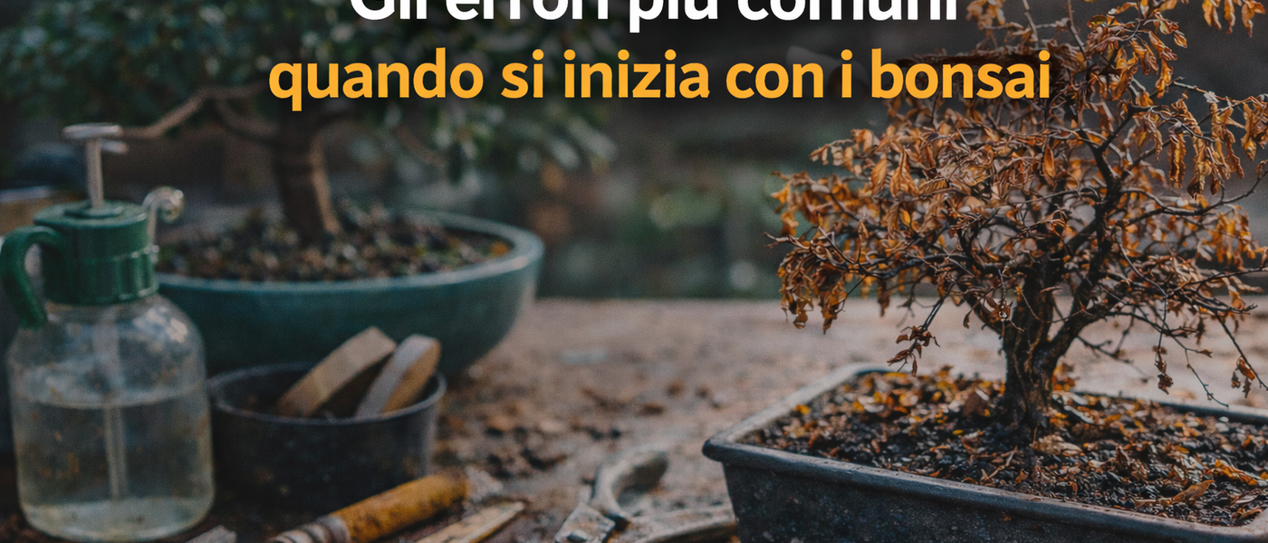 Gli errori che fanno tutti quando iniziano con i bonsai