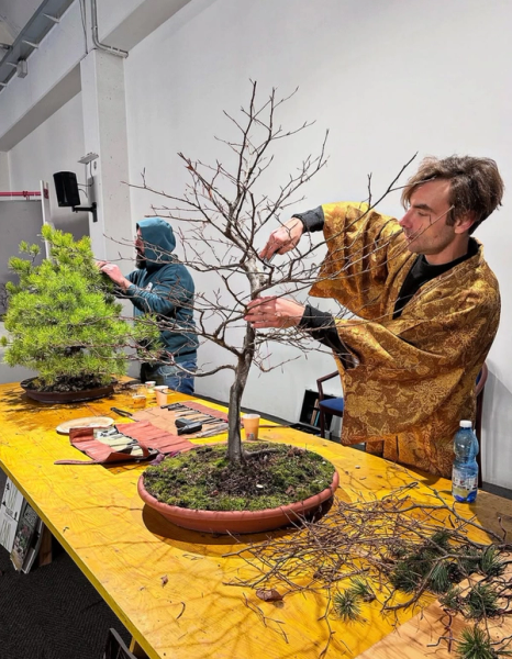 Il workshop bonsai che ha acceso il mercatino Etsy