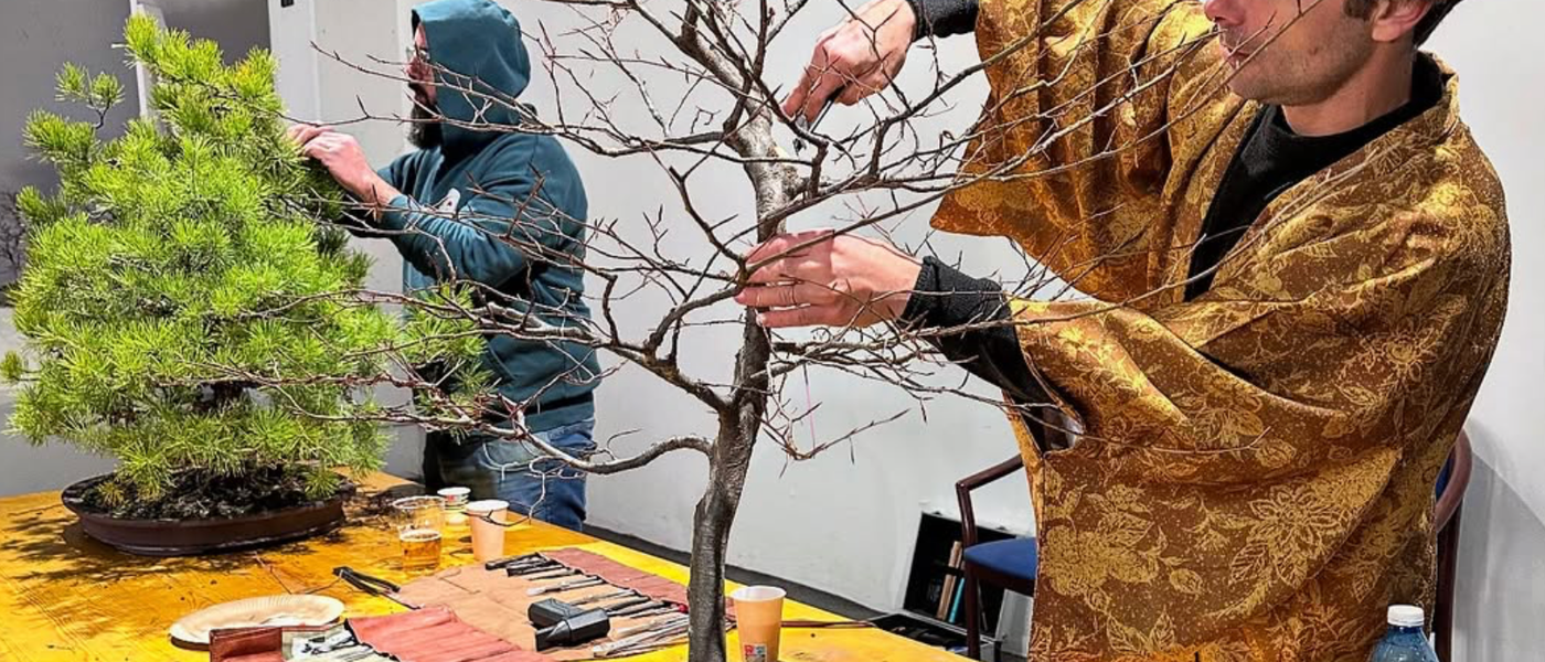 Il workshop bonsai che ha acceso il mercatino Etsy