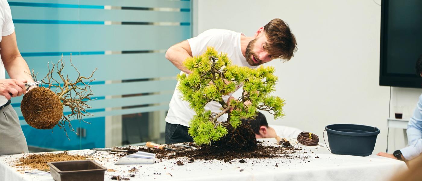 Bonsai Biella Club Kuma No En