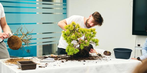 Bonsai Biella Club Kuma No En