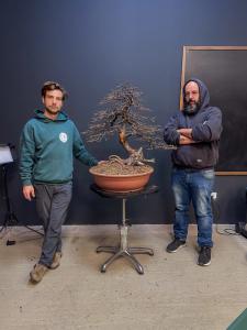 Come iniziare con i bonsai