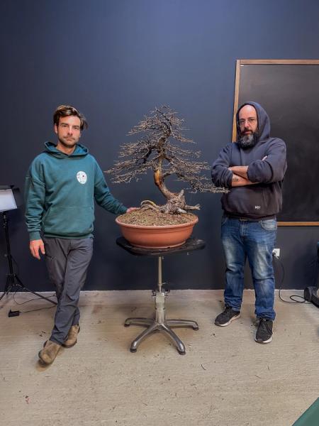 Come iniziare con i bonsai
