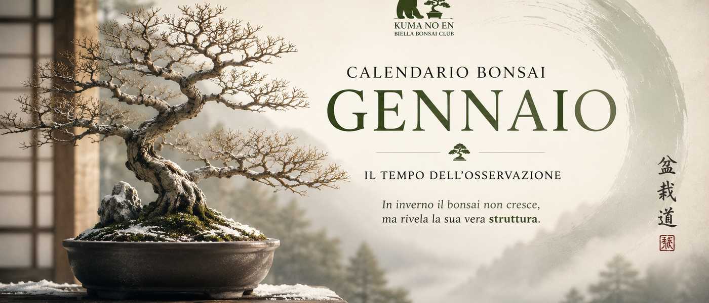 Calendario Bonsai di Gennaio