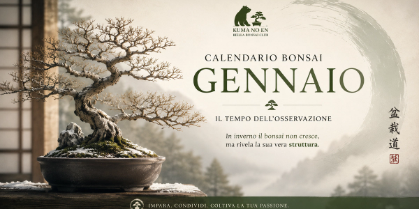 Calendario Bonsai di Gennaio