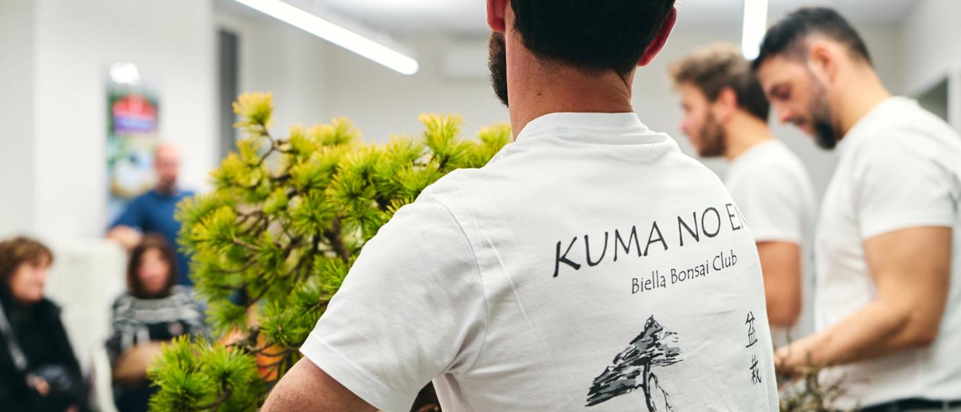 Workshop bonsai a Biella