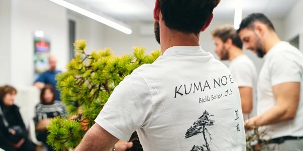 Workshop bonsai a Biella