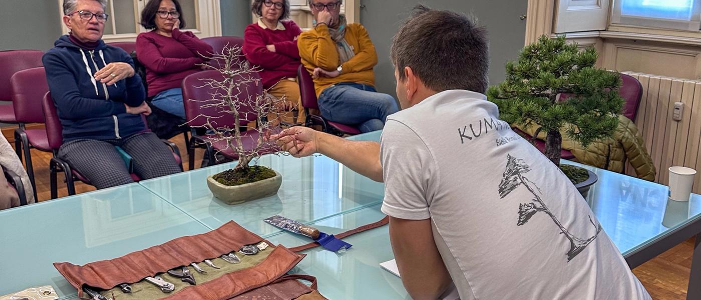 Il bonsai in CNA, un workshop tra curiosità e condivisione
