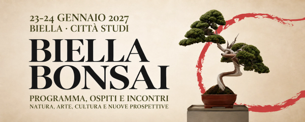 Biella Bonsai, un programma da vivere tra natura, arte, filosofia e cultura orientale