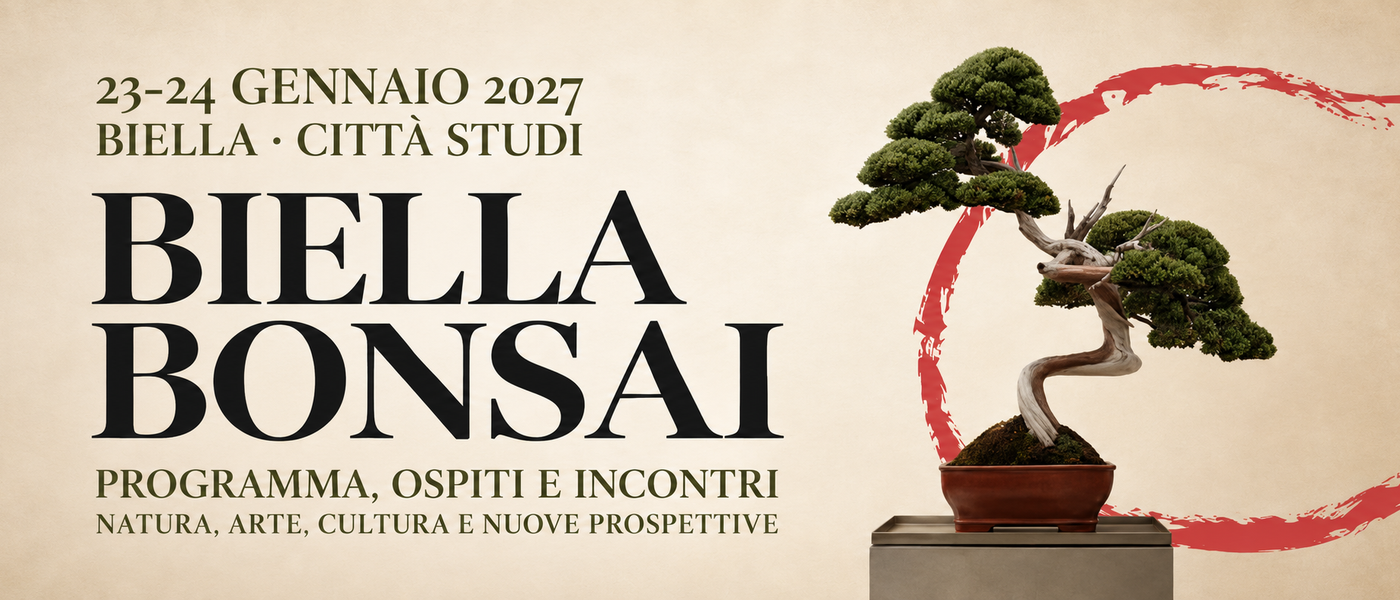 Biella Bonsai, un programma da vivere tra natura, arte, filosofia e cultura orientale