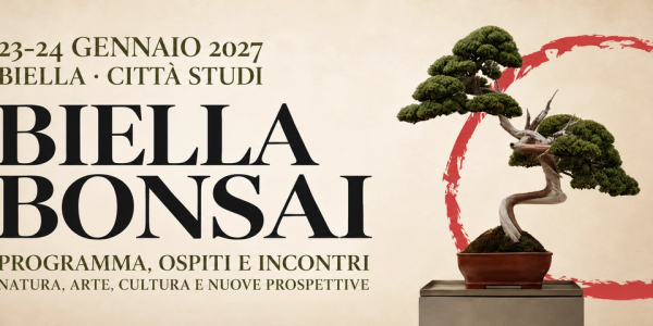 Biella Bonsai, un programma da vivere tra natura, arte, filosofia e cultura orientale